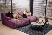 Easy Bigsofa Couch Modell Platani in Stoff Ermine lilac Thüringen - Gera Vorschau