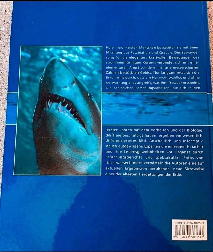 Buch über Haie in Delligsen