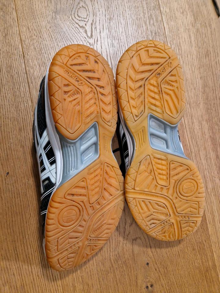 Hallenschuhe Turnschuhe 43,5 aber eher 42 plus Gratisschuhe in Mühlheim am Main