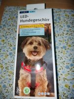LED Hundegeschirr Niedersachsen - Lüneburg Vorschau