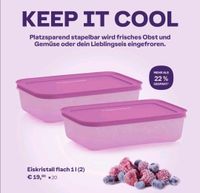 Tupperware * Eis Kristall Set 1 L flach * Neu Gefrierschrank Niedersachsen - Pattensen Vorschau