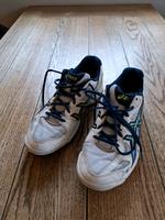 Asics Hallenschuhe Größe 41,5 Baden-Württemberg - Dielheim Vorschau