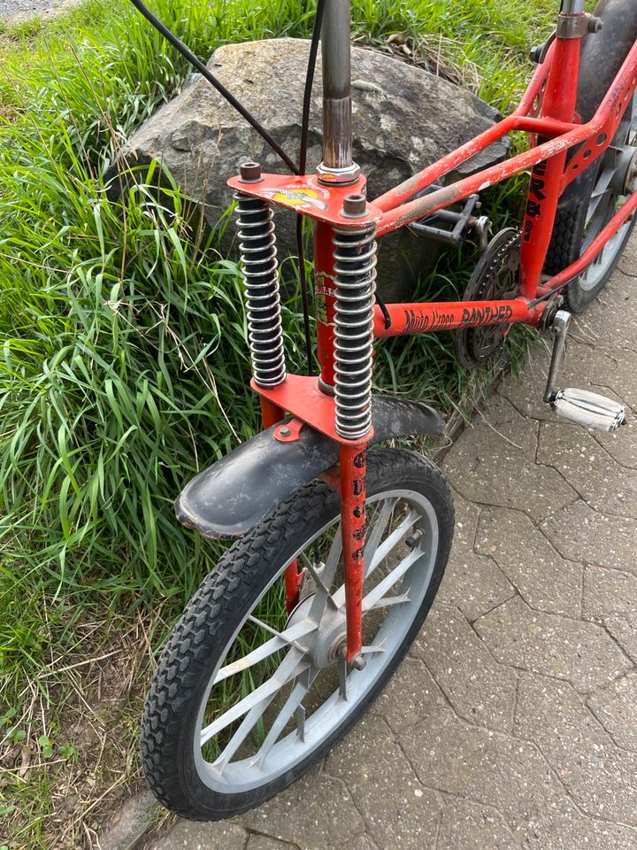 Fahrrad Panther in Neuwied