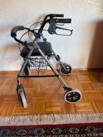 Stabiler Rollator Niedersachsen - Garbsen Vorschau