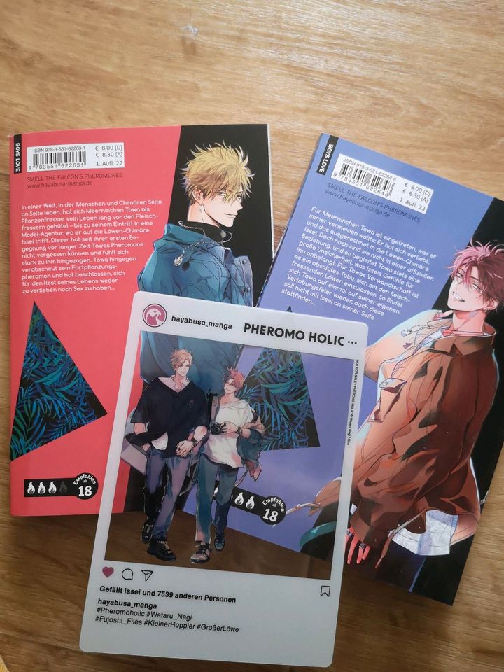 Hayabusa Boyslove Mangas Komplett Set in Zwickau