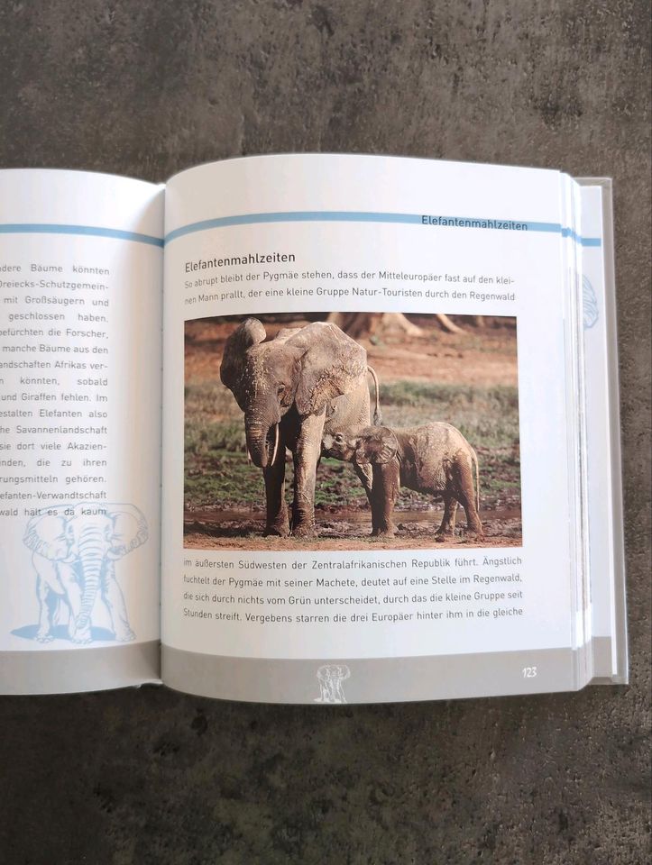 Buch Elefanten und Nashörner in Hattingen