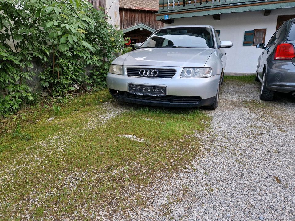 Audi A3 8l 1,9 ASZ in Siegsdorf