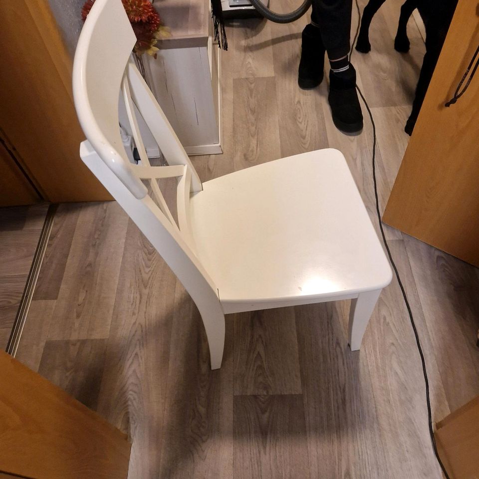 Stühle " Ingolf" von Ikea in Nürnberg (Mittelfr)