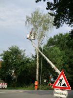 Baumfällung Wurzelfräsen Baum schneiden Hebebühne Dacharbeiten Hessen - Dietzenbach Vorschau