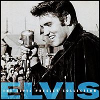 Rock 'n' Roll  The Elvis Presley Collection  Time Life 2 CD Hessen - Wiesbaden Vorschau