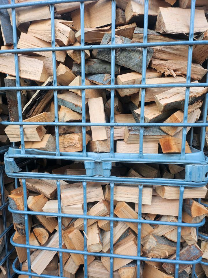 Brennholz reines Buche 5srm trocken für nächste Heizperiod in Bad Camberg