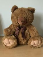 Teddy Bär 110cm groß (unbespielt) Niedersachsen - Neuenkirchen-Vörden Vorschau