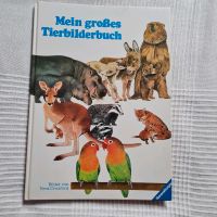 Mein großes Tierbilderbuch Verlag Ravensburg Thüringen - Zella-Mehlis Vorschau