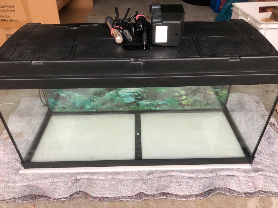 Aquarium 80 x 30 x 40 in Bayern - Nittendorf | eBay Kleinanzeigen ist jetzt  Kleinanzeigen