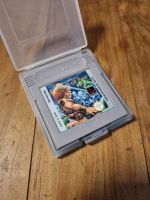 Fortress Of Fear - Gameboy Spiel, TOP Nordrhein-Westfalen - Neuss Vorschau