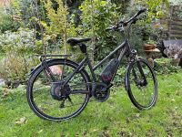 Damen Trekking E-Bike Raleigh Stoker X5 Burglesum - Lesum Vorschau