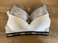 BHs, 80B, L, u.a. Puma, Manguun Niedersachsen - Uelzen Vorschau