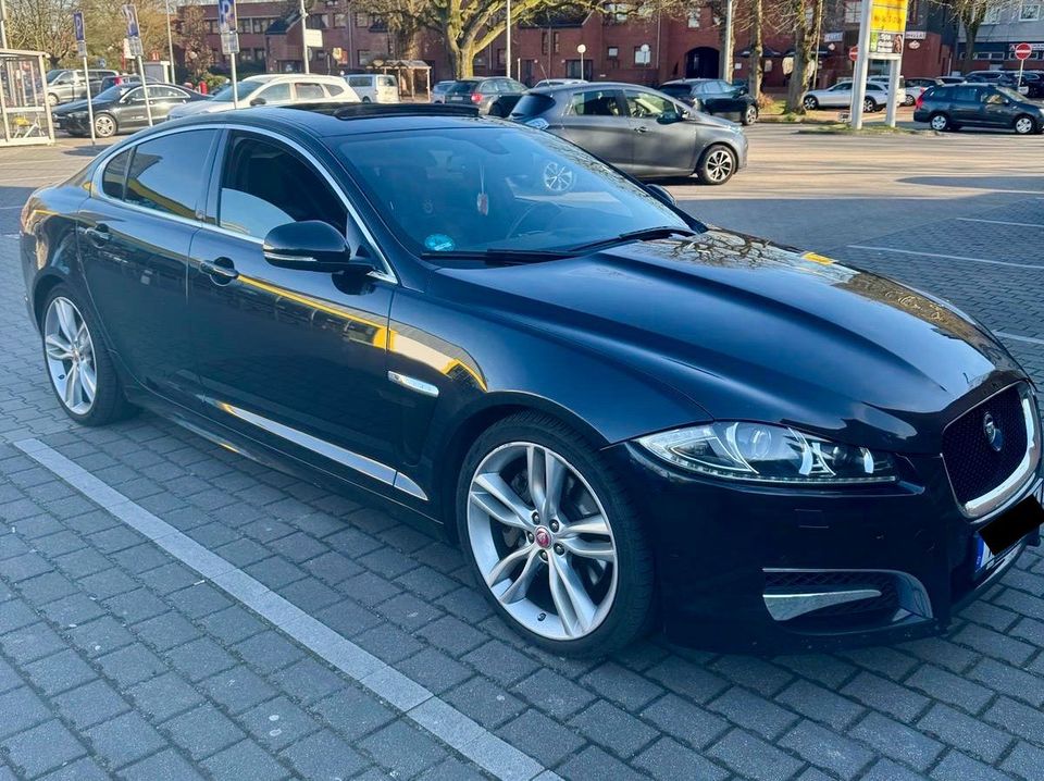                     Jaguar XF 3.0 V6 Diesel S - Kleiner Wildunfall