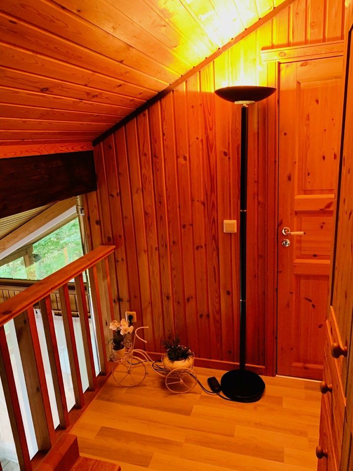 Premium-Ferienhäuser - Extertal-Ferienpark 5 Pers. Sauna Hund in Extertal