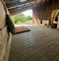 Offenstall / Offenstallplatz für Stute frei Baden-Württemberg - Stockach Vorschau