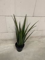 Aloe-Vera Pflanze, Kunstpflanze, 60cm Bayern - Würzburg Vorschau