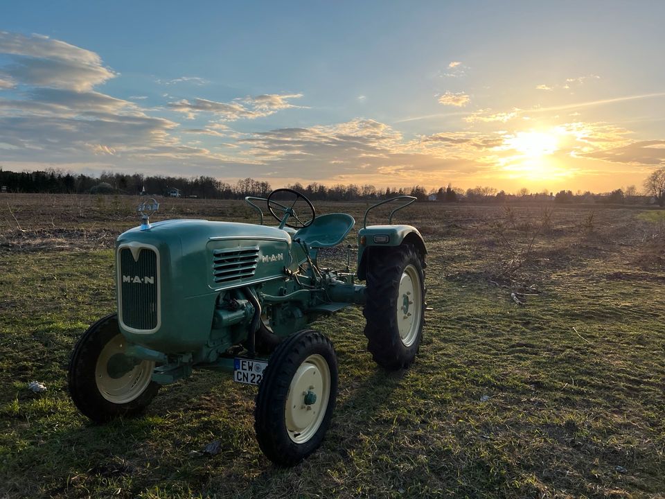 Oldtimer Traktor selber fahren Ausflug Teamevent Gutschein in Wandlitz