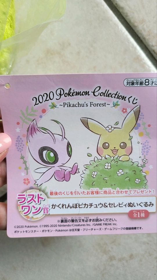 Pokemon Collection 2020 Shiny Celebi und Shiny Pikachu Plüsch in Rain Lech