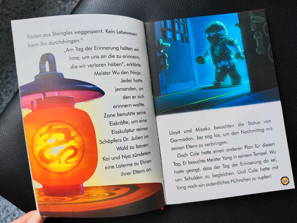 Ninjago Bücher neu in Starsiedel