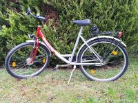 Damen Fahrrad Bocas 26 Zoll Kiel - Hassee-Vieburg Vorschau