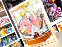 Card Captor Sakura Anime Manga Jubiläum Artbook Schleswig-Holstein - Eckernförde Vorschau