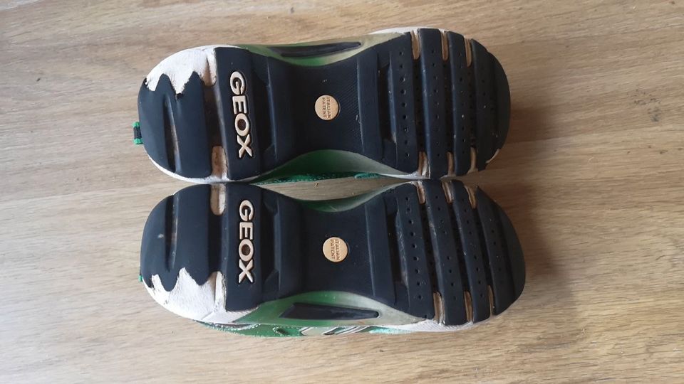 GEOX Sportschuhe Sneaker Gr. 31 in Neckarsteinach