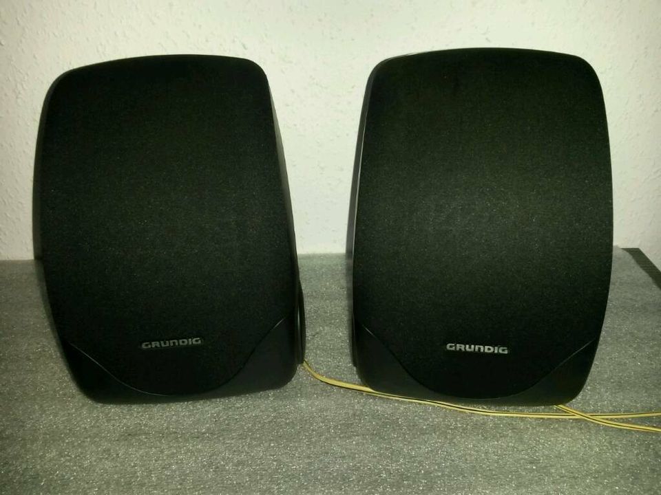 Lautsprecher Grundig DPL S48 Speaker Boxen in Wittichenau