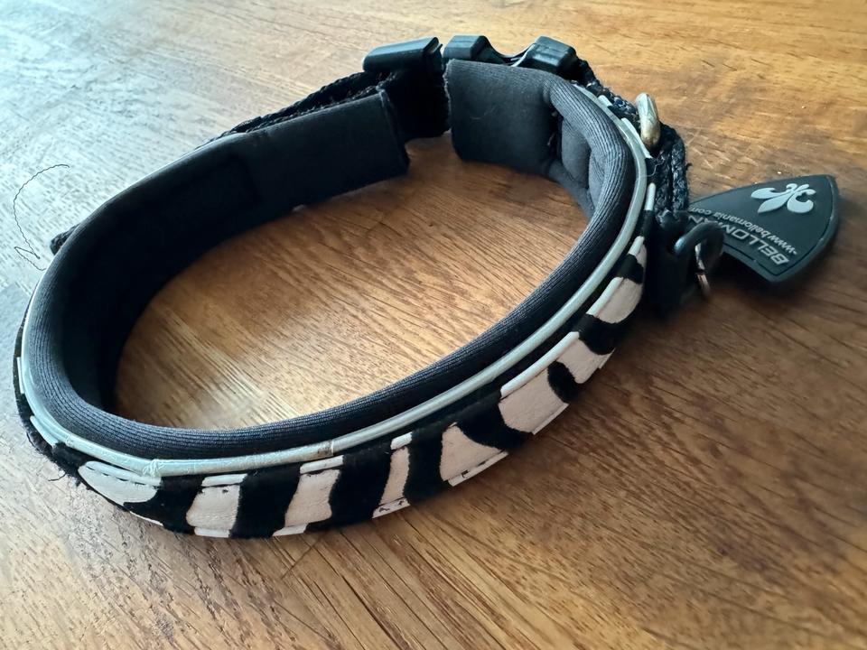 Bellomania Zebra Halsband Hundehalsband 2,5 cm breit 33-38 cm in Gedern