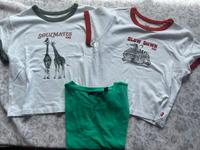 3 Kurze T-Shirts von Levi’s und Vero Moda, Größe L und s Bayern - Küps Vorschau