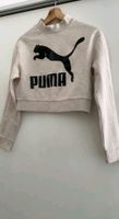 Puma Hoodie  Gr S. !!!! Nordrhein-Westfalen - Essen-West Vorschau