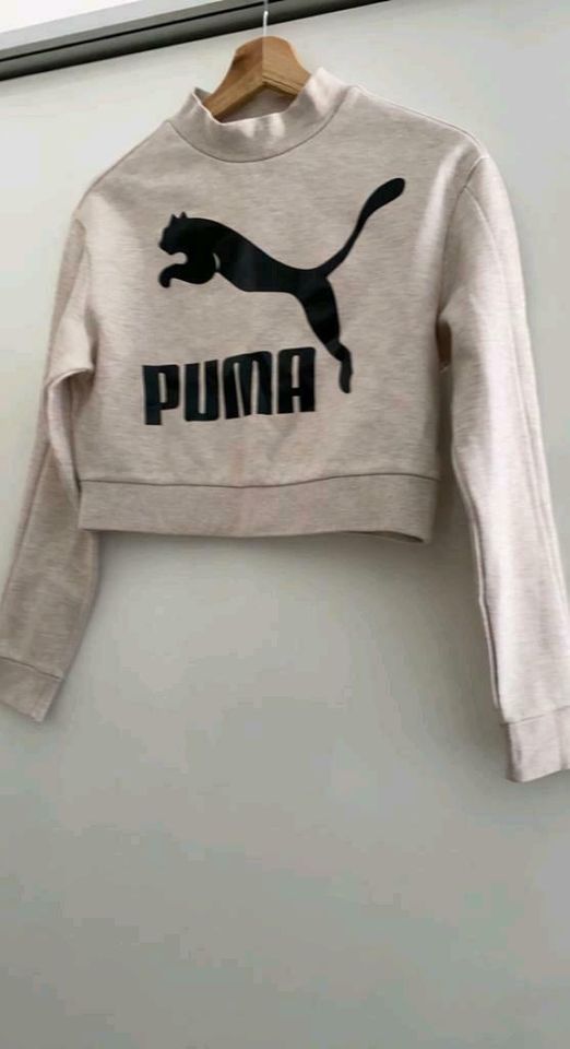 Puma Hoodie  Gr S. !!!! in Essen-West