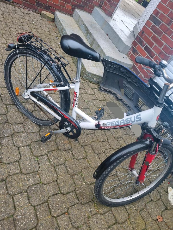 Kinder Fahrrad in Warendorf