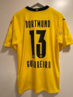 BVB Borussia Dortmund CUP Trikot 2020/2021 Guerreiro Bayern - Berngau Vorschau