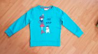 Sweatshirt Pullover Hund Tom Tailor Gr. 116/122 Nordrhein-Westfalen - Hille Vorschau