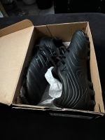 Adidas Fußballschuhe Copa 19.3 AG Rheinland-Pfalz - Kröppen Vorschau