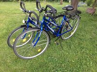 Herren u. Damen MC KENZIE Travel 100 Fahrräder, neuwertig, blau Rheinland-Pfalz - Kaisersesch Vorschau
