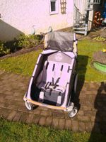 Fahrradanhänger für 2 Kinder mit Baby Hängematte Nordrhein-Westfalen - Hagen Vorschau