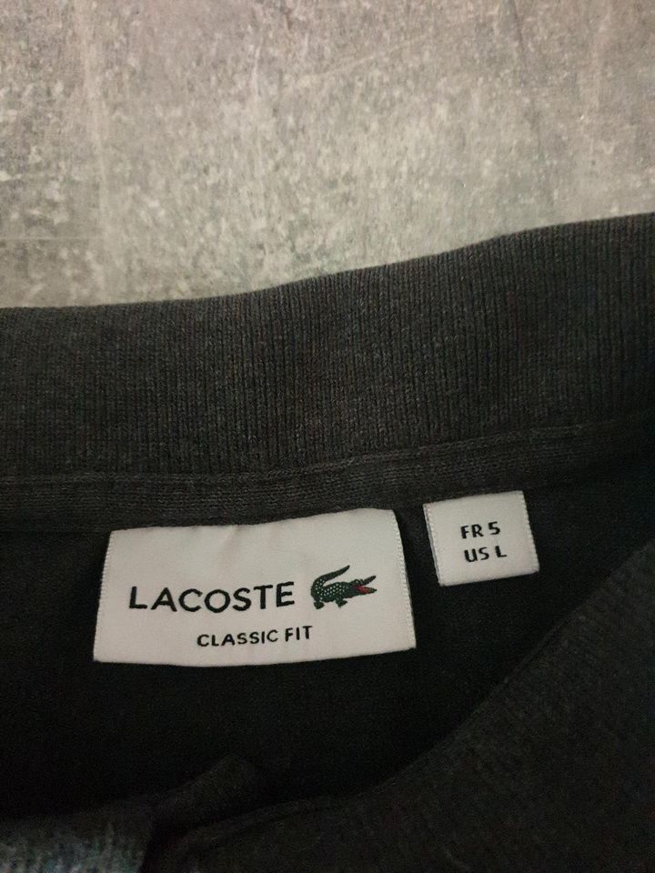 Lacoste Polo Shirt in Hemer