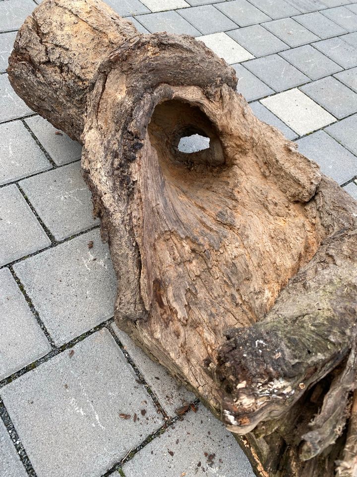 Holzstämme zu Dekozwecken teilw. hohl in Waldshut-Tiengen