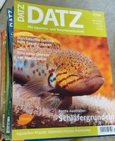 45 mal DATZ Aquarium Terrarium Zeitschrift Nordrhein-Westfalen - Hückelhoven Vorschau