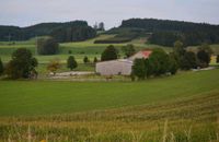 Box Stall frei - ganztägig draußen - mit Reithalle Bayern - Schongau Vorschau