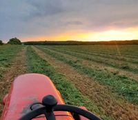 Ackerland, Grünland, Flächen, Landwirtschaft, Pacht Thüringen - Bad Berka Vorschau