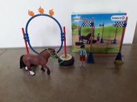 Schleich Farm World neuwertig kaum bespielt Springturnier Nordrhein-Westfalen - Erkrath Vorschau