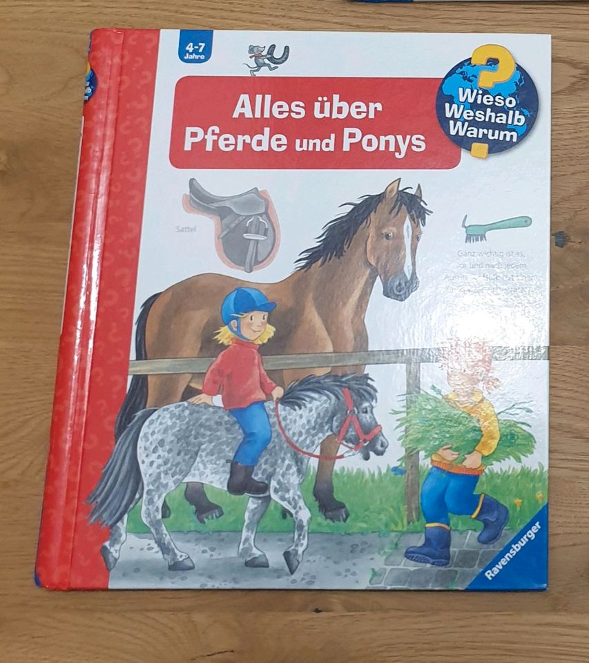 Wieso Weshalb Warum?  Alles über Pferde und Ponys und Pferde in Wunstorf