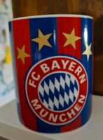 FC Bayern München Becher Niedersachsen - Lüder Vorschau